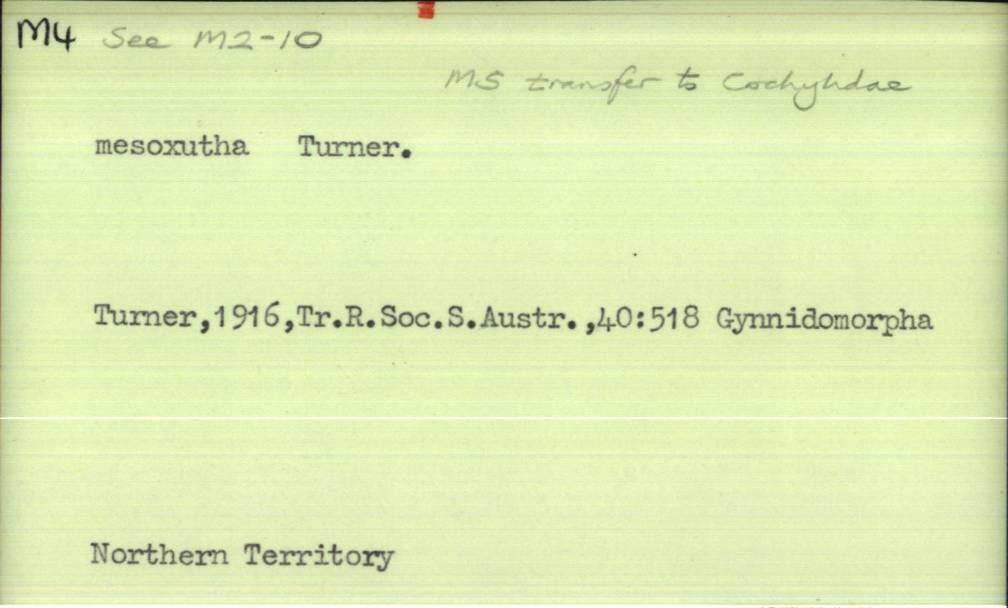 front of card